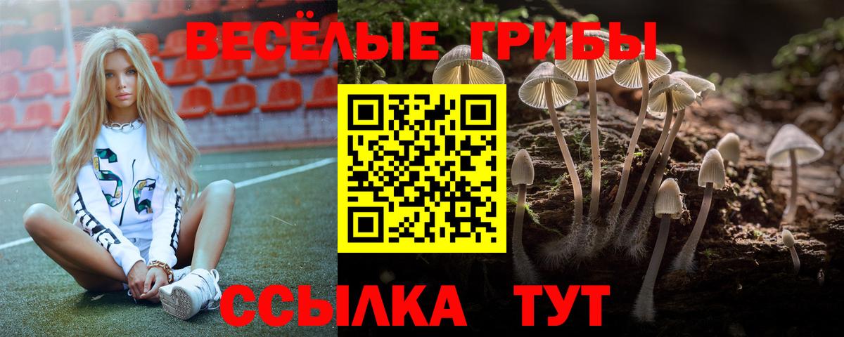 Псилоцибиновые грибы мухоморы  Псилоцибиновые грибы Psilocybine cubensis  Вход с VPN  наркотики  Кумертау 